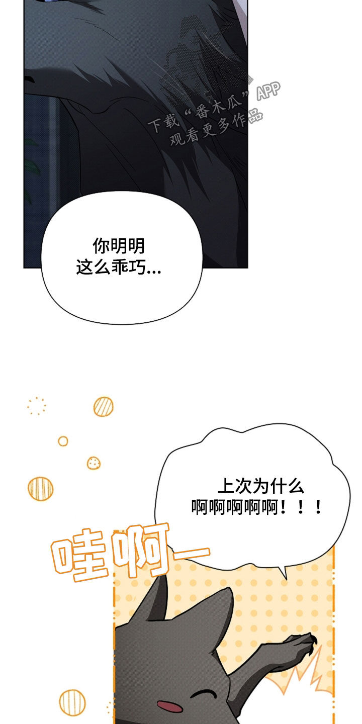 小白狗奇遇记漫画,第64章：我们得结婚了3图