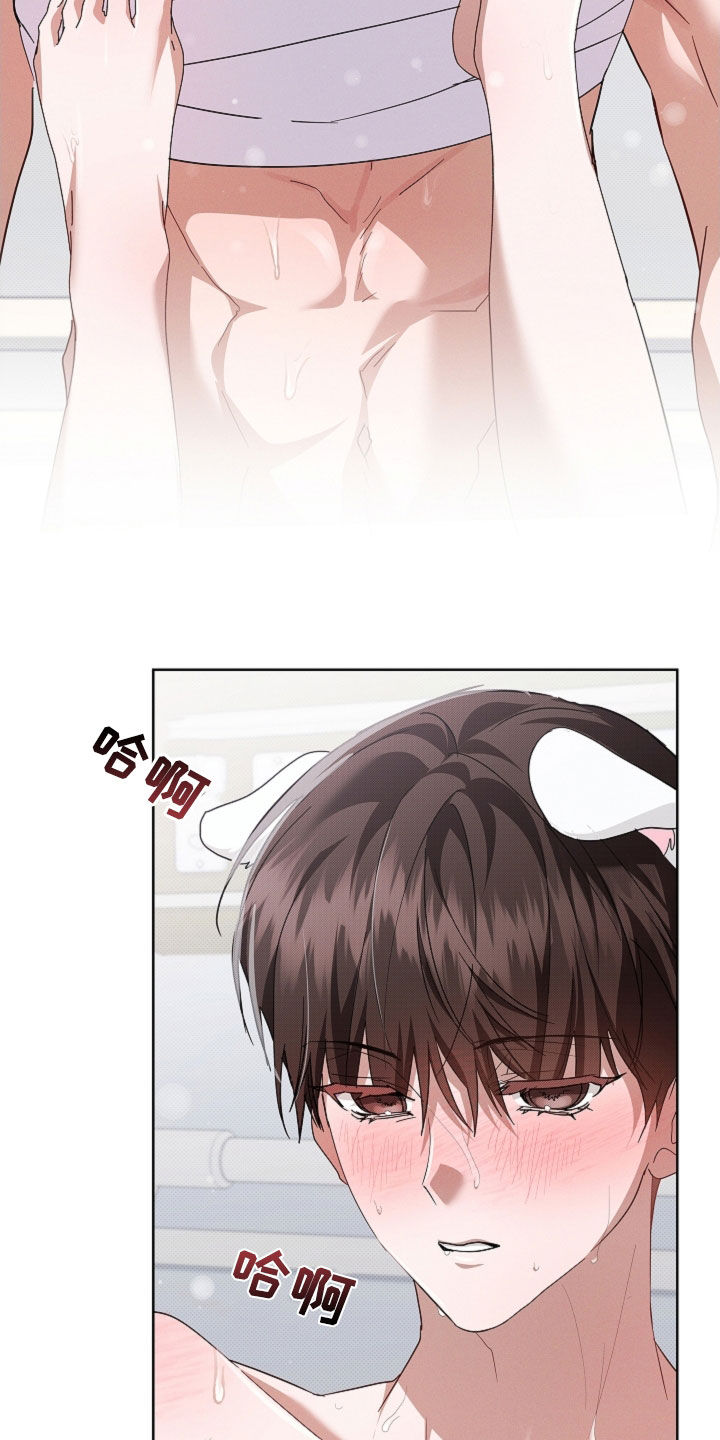 小白狗奇遇记漫画,第90章：【第二季】可以了3图