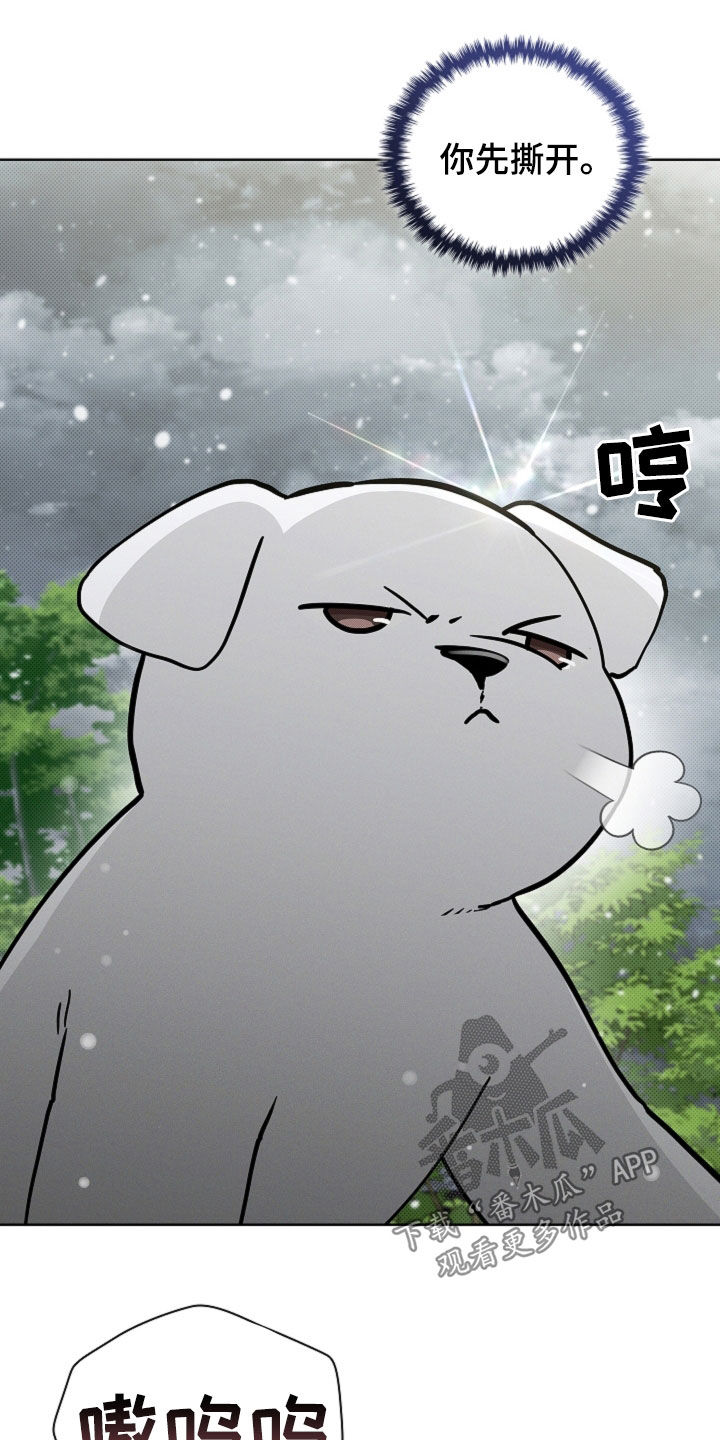 小白狗奇遇记漫画,第80章：【第二季】疯狼4图
