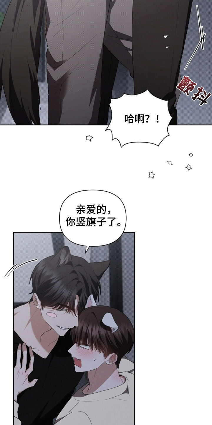 小白狗奇遇记漫画,第58章：是你就没关系3图