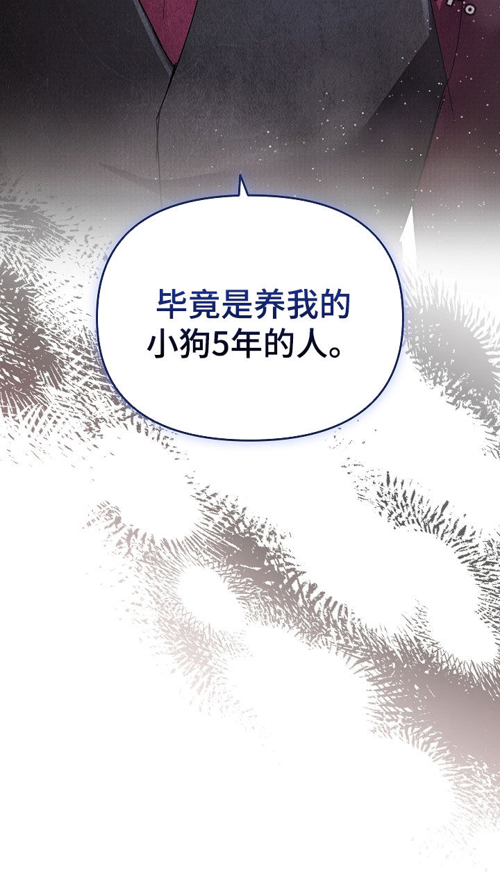 小白狗奇遇记漫画,第73章：【第二季】像平时一样4图