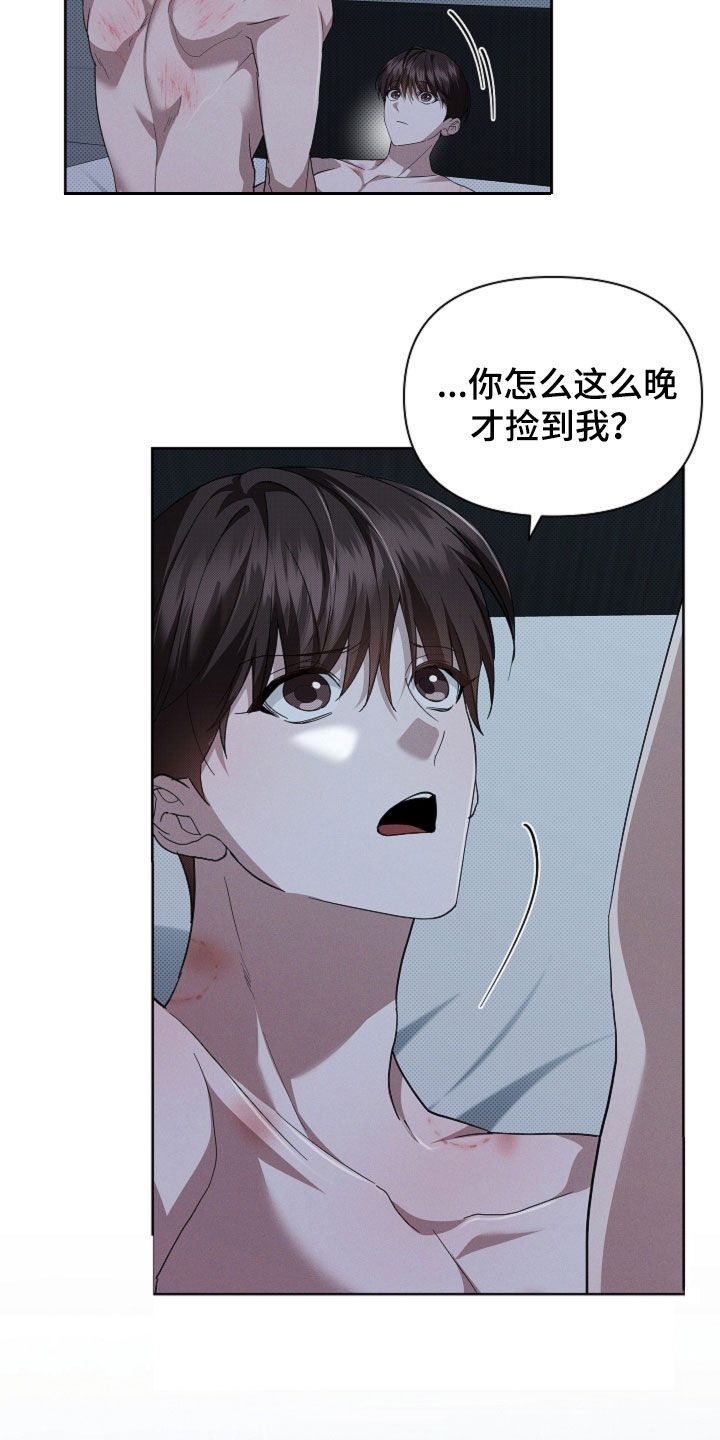 小白狗奇遇记漫画,第64章：我们得结婚了4图