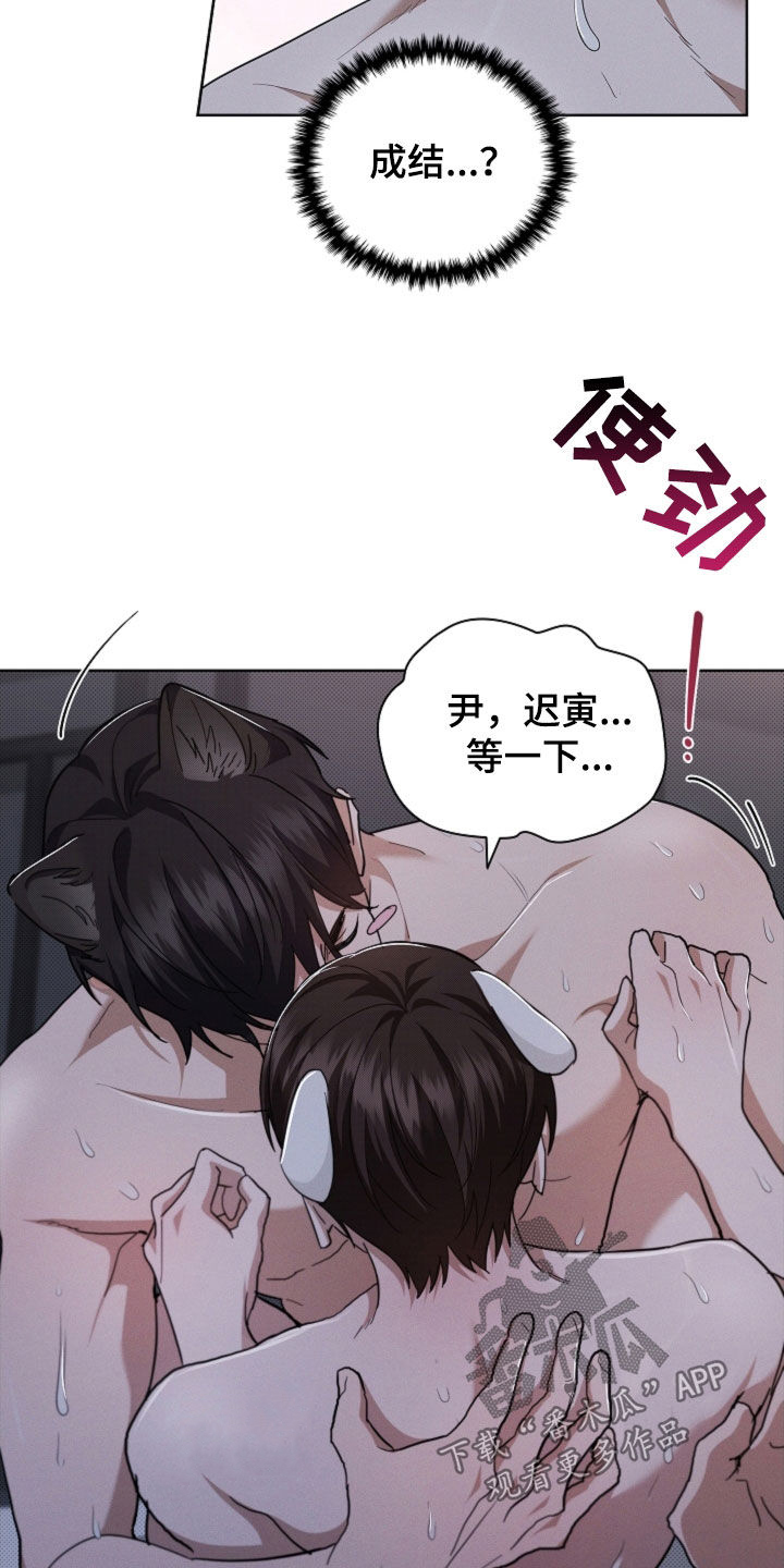 小白狗奇遇记漫画,第60章：成结3图