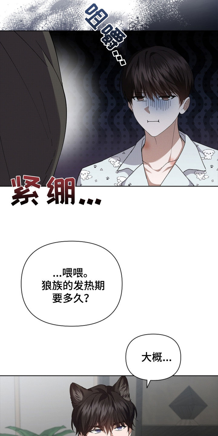 小白狗奇遇记漫画,第62章：食人狼3图
