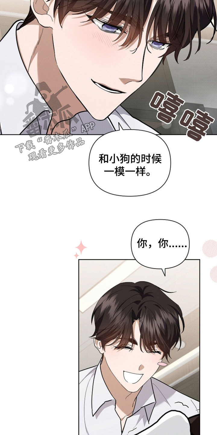 小白狗奇遇记漫画,第43章：当男朋友养4图