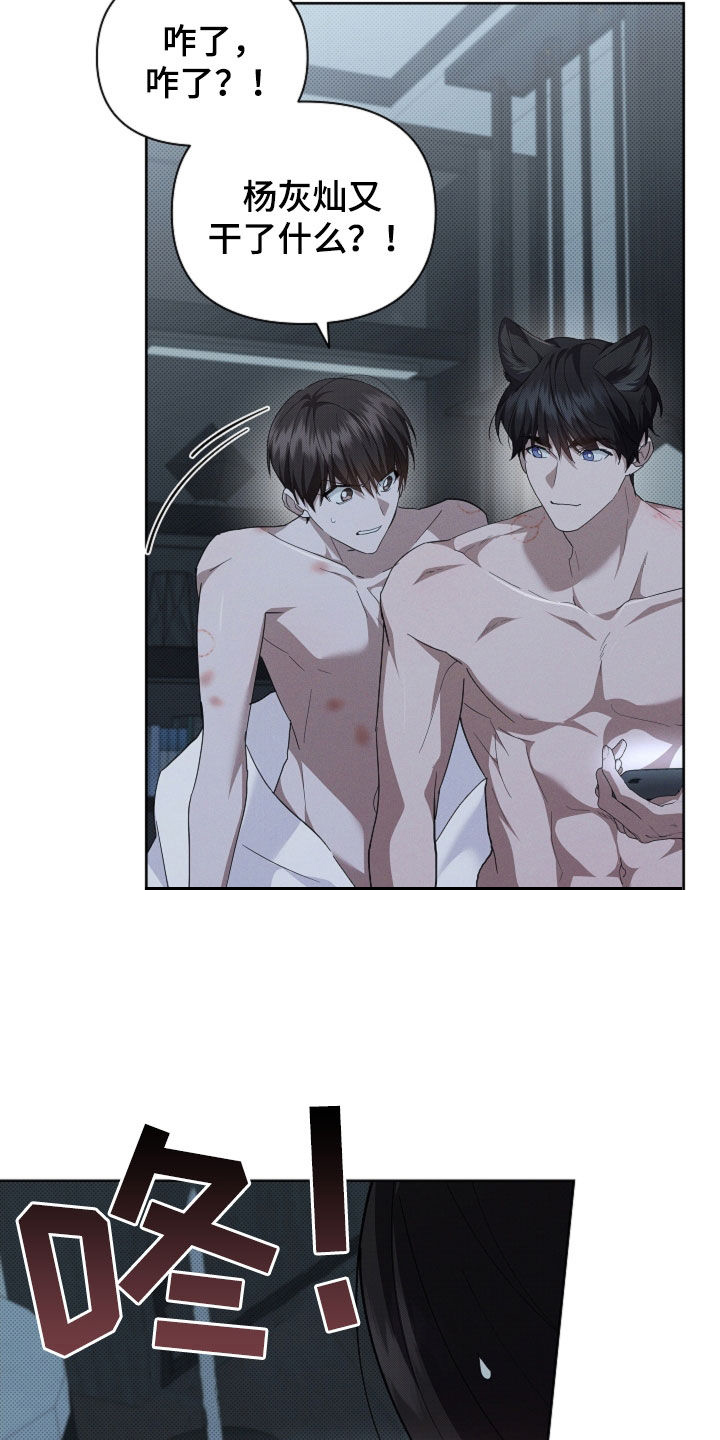小白狗奇遇记漫画,第64章：我们得结婚了5图
