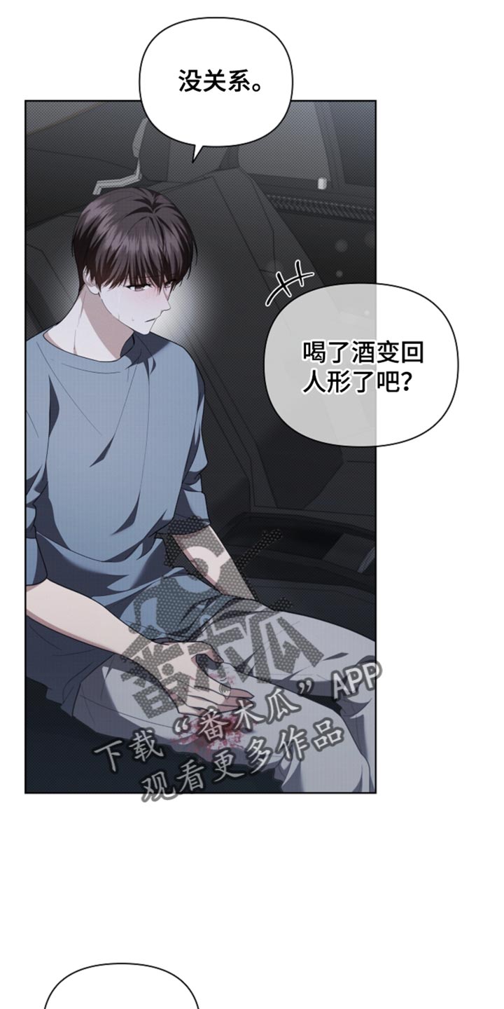 小白狗奇遇记漫画,第37章：我现在去找你1图