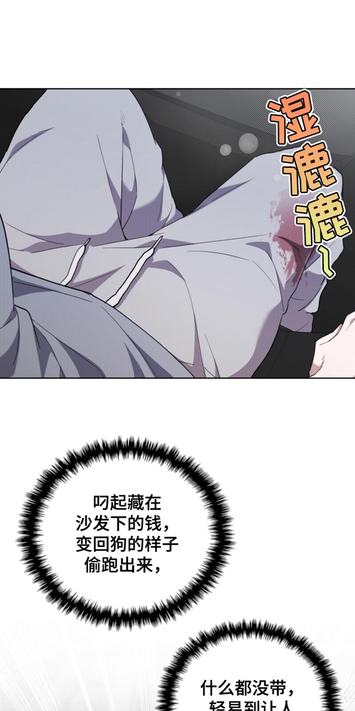 小白狗奇遇记漫画,第37章：我现在去找你4图