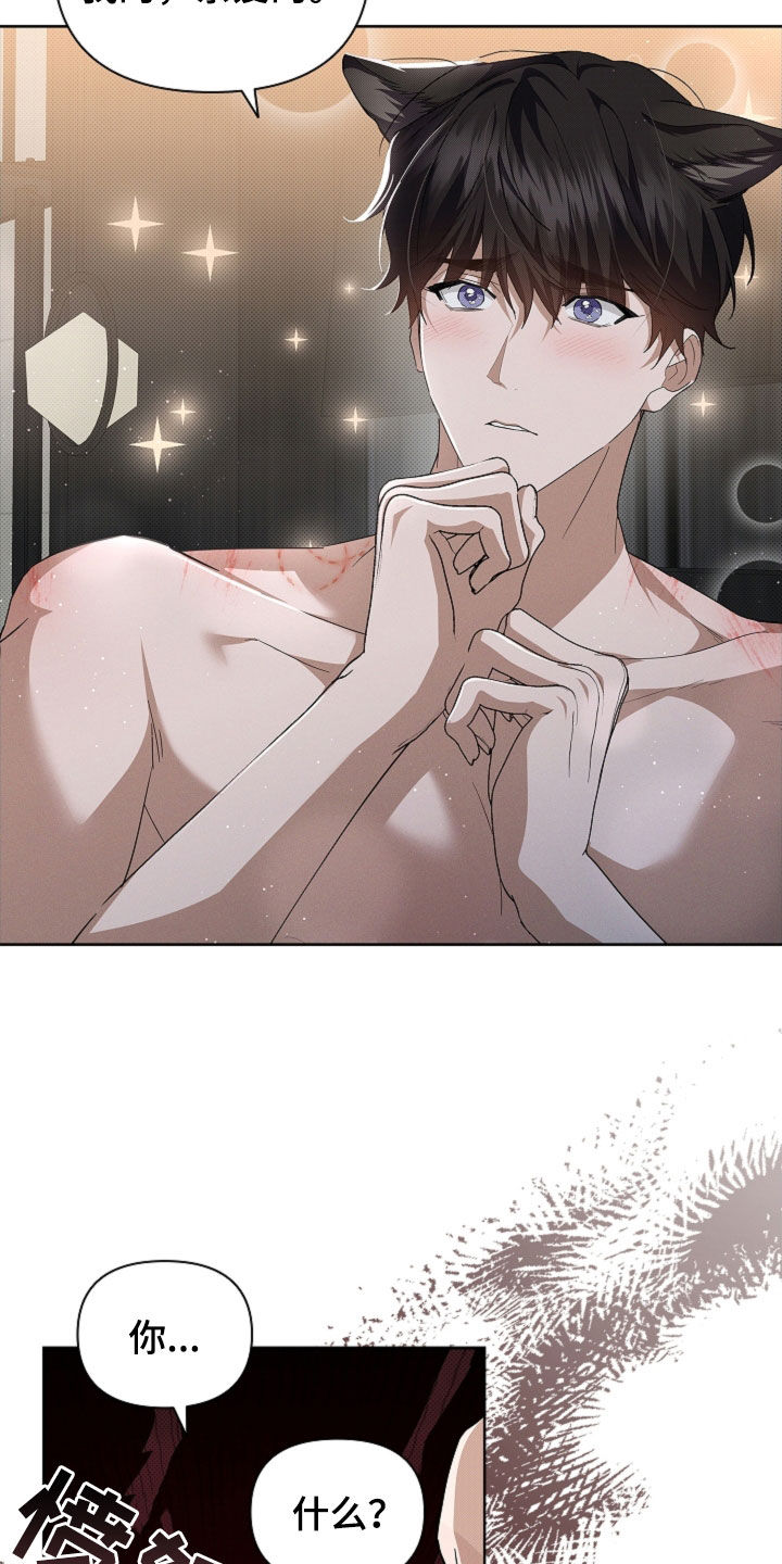 小白狗奇遇记漫画,第64章：我们得结婚了2图