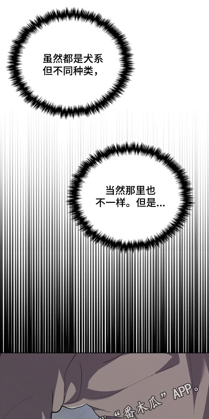 小白狗奇遇记漫画,第59章：凭什么是我1图