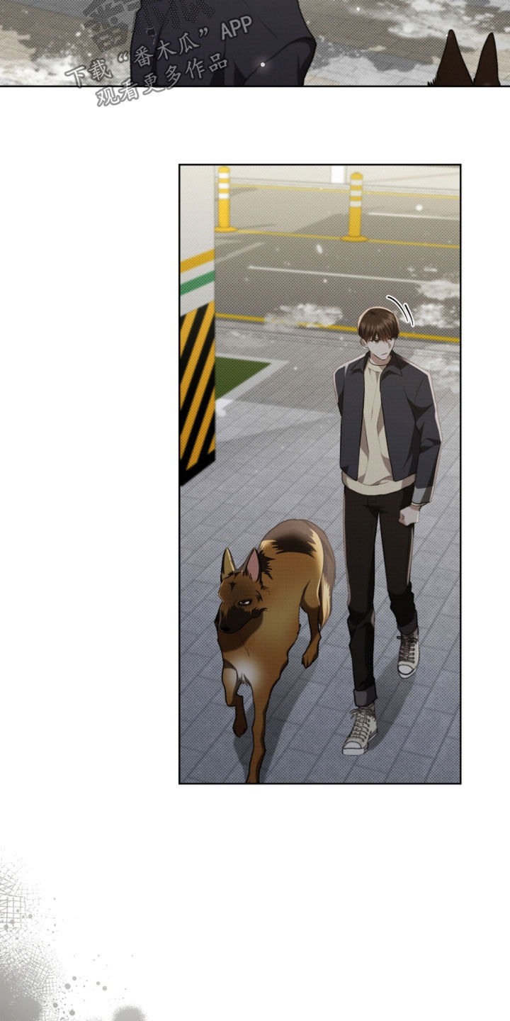 小白狗奇遇记漫画,第56章：叛徒4图