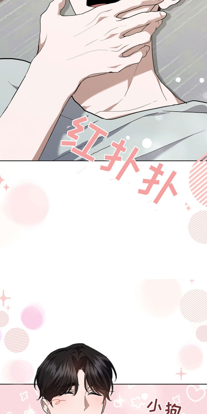 小白狗奇遇记漫画,第43章：当男朋友养1图
