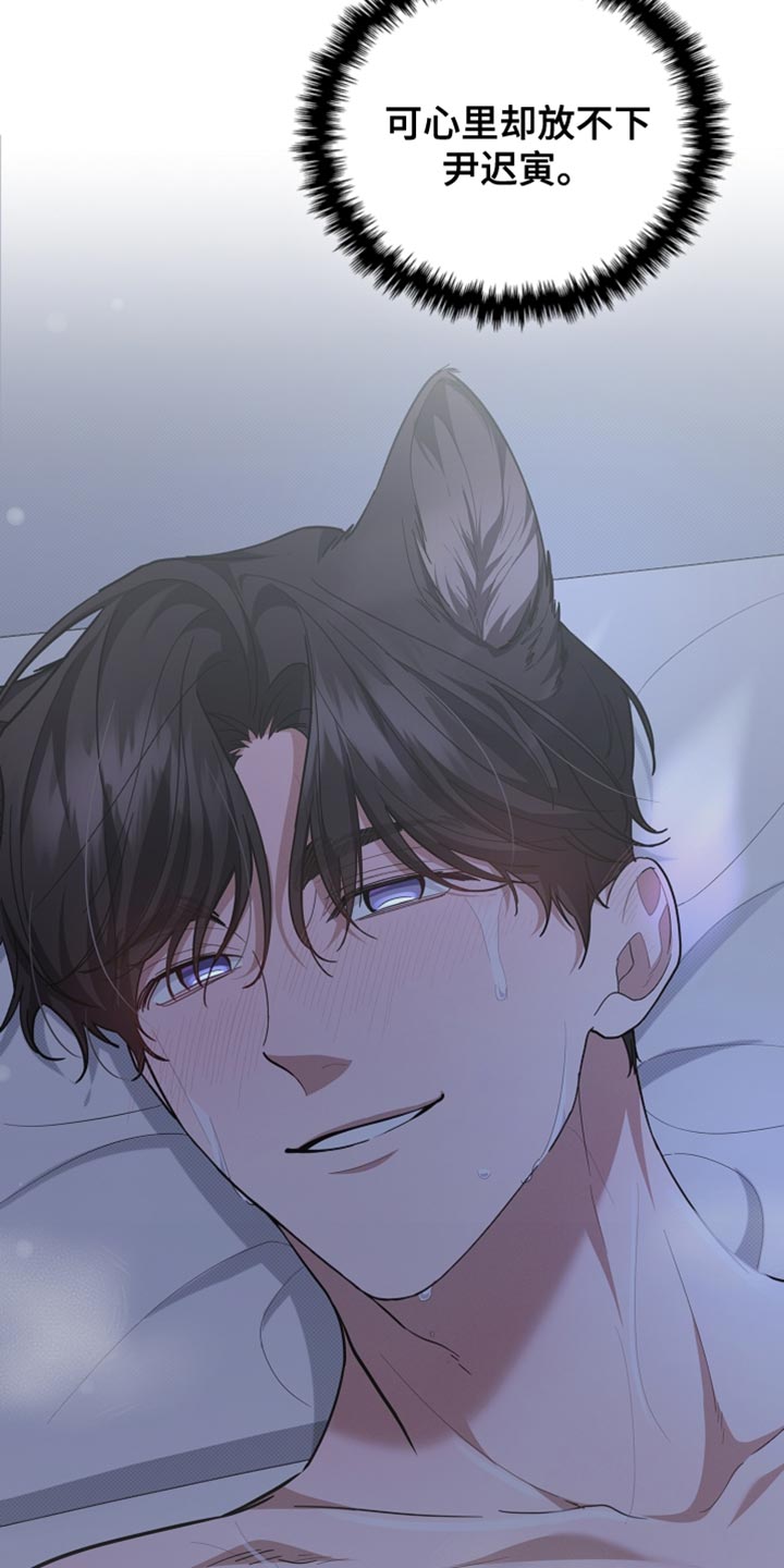 小白狗奇遇记漫画,第37章：我现在去找你2图