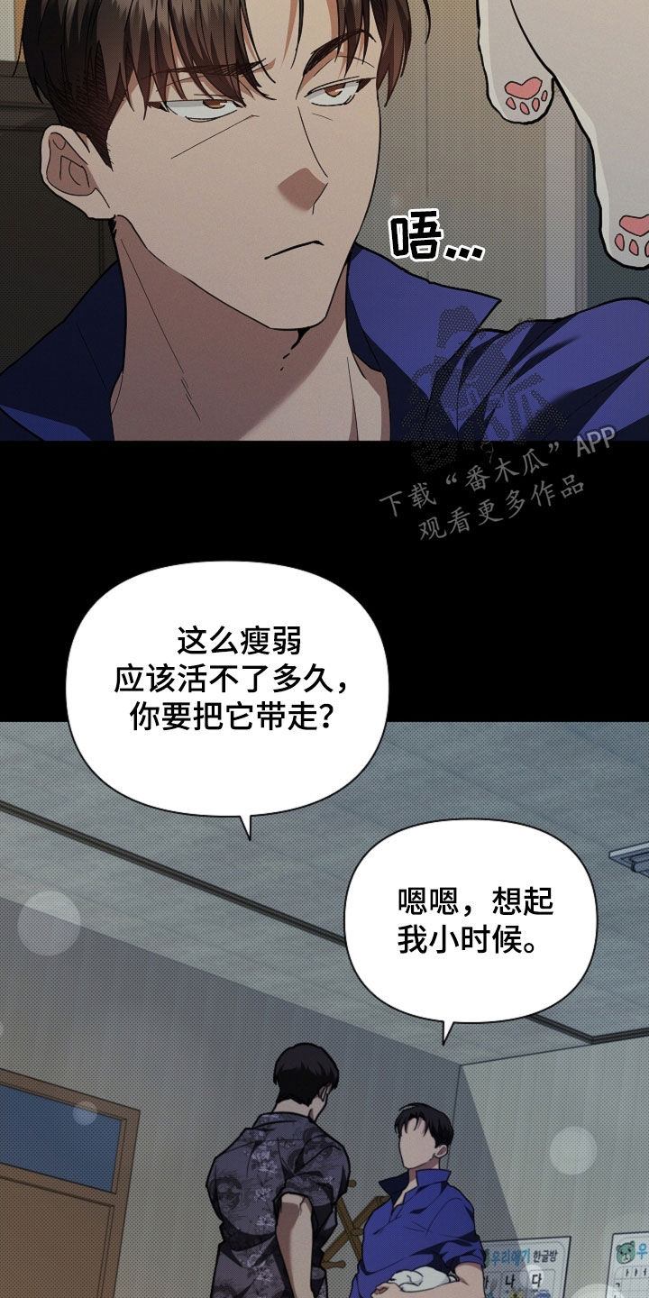 小白狗奇遇记漫画,第41章：体弱多病5图