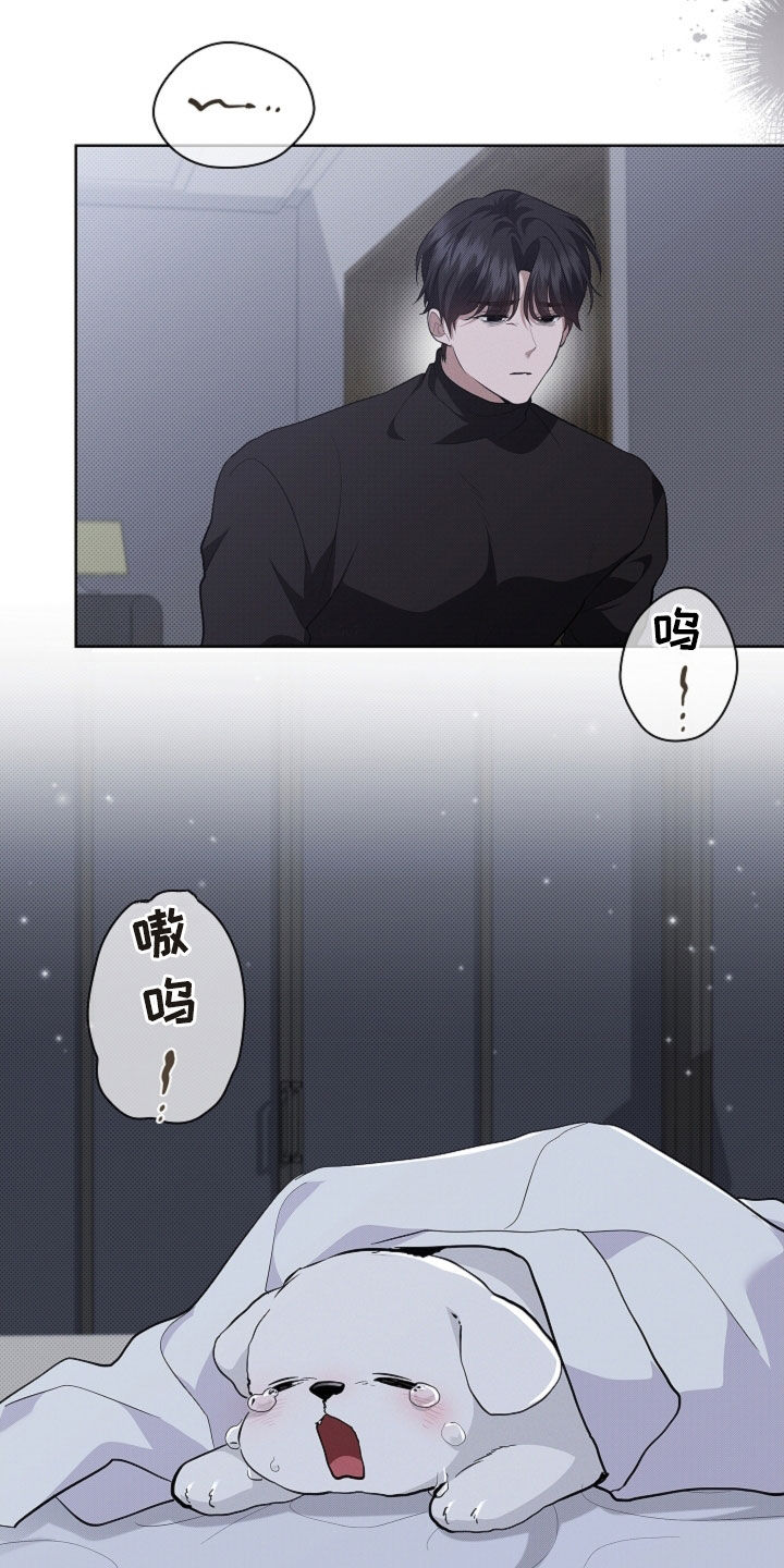 小白狗奇遇记漫画,第70章：我不相信（第一季完结）4图
