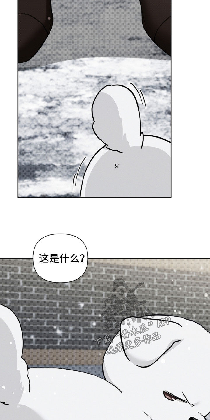 小白狗奇遇记漫画,第79章：【第二季】担心2图