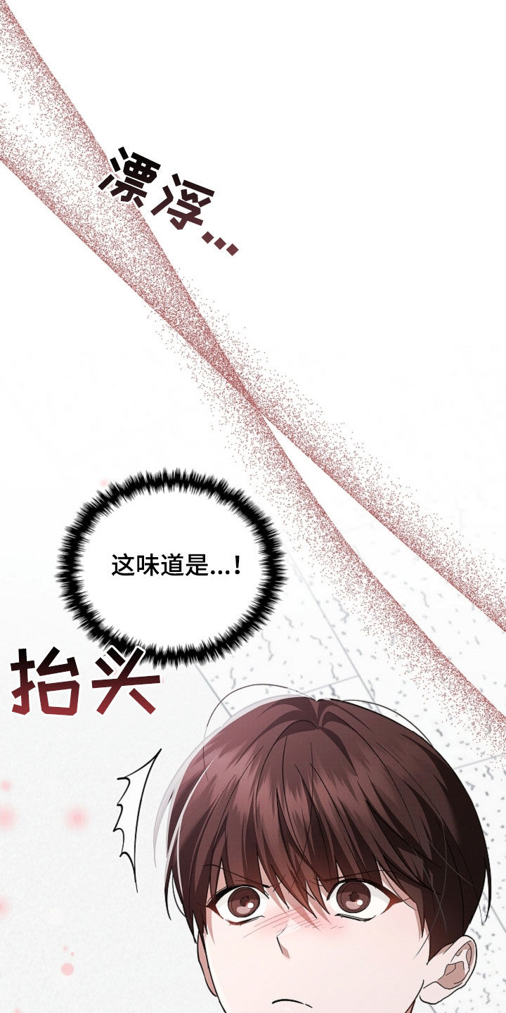 小白狗奇遇记漫画,第88章：【第二季】家人5图