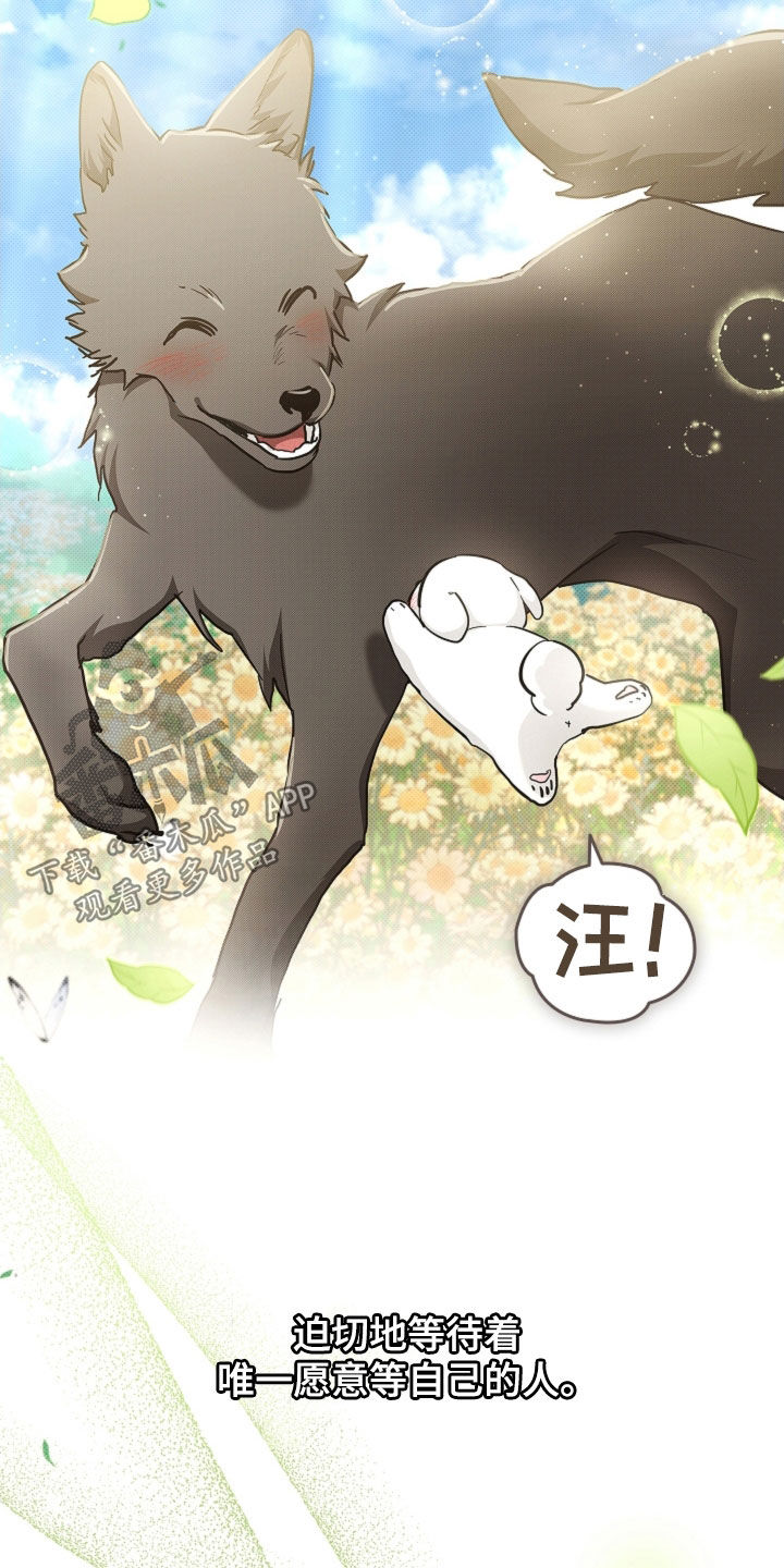 小白狗奇遇记漫画,第96章：【第二季完结】双向奔赴5图