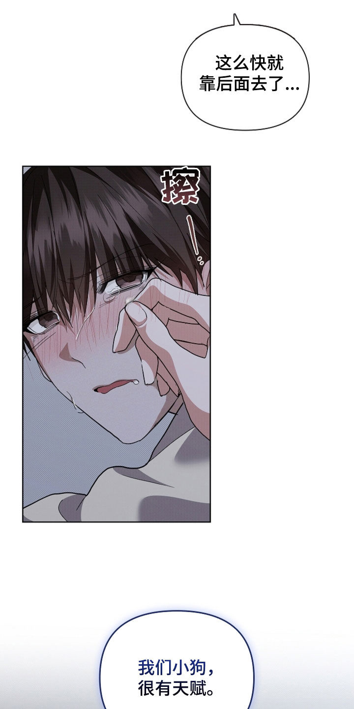 小白狗奇遇记漫画,第60章：成结2图
