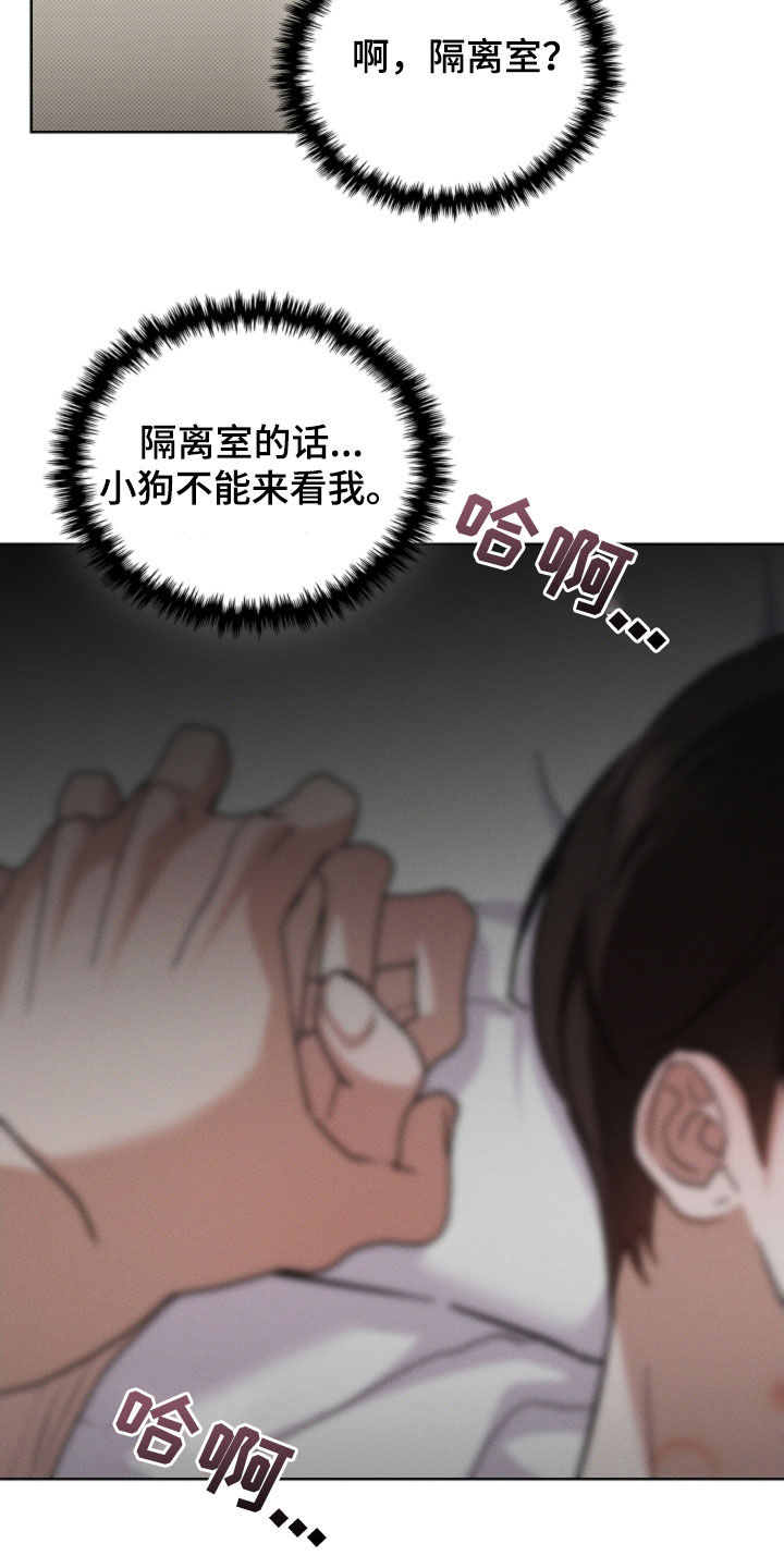 小白狗奇遇记漫画,第92章：【第二季】受伤2图