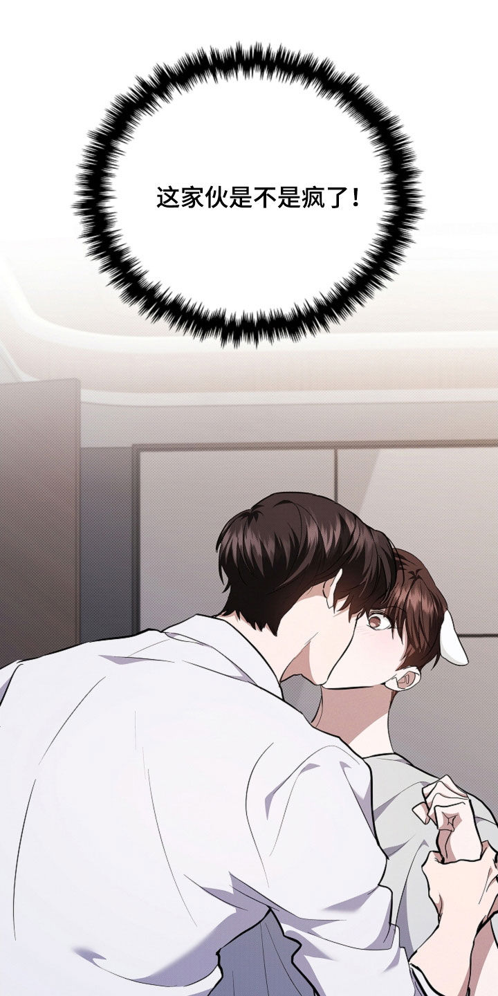 小白狗奇遇记漫画,第42章：是不是疯了2图