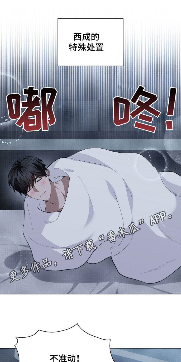 小白狗奇遇记漫画,第65章：做美容1图