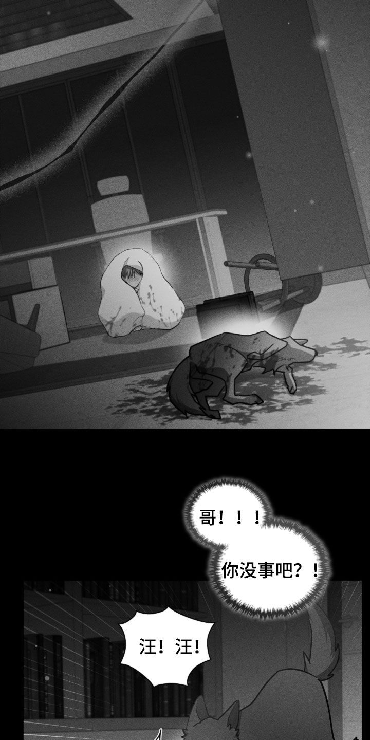 小白狗奇遇记漫画,第85章：【第二季】医院生活3图