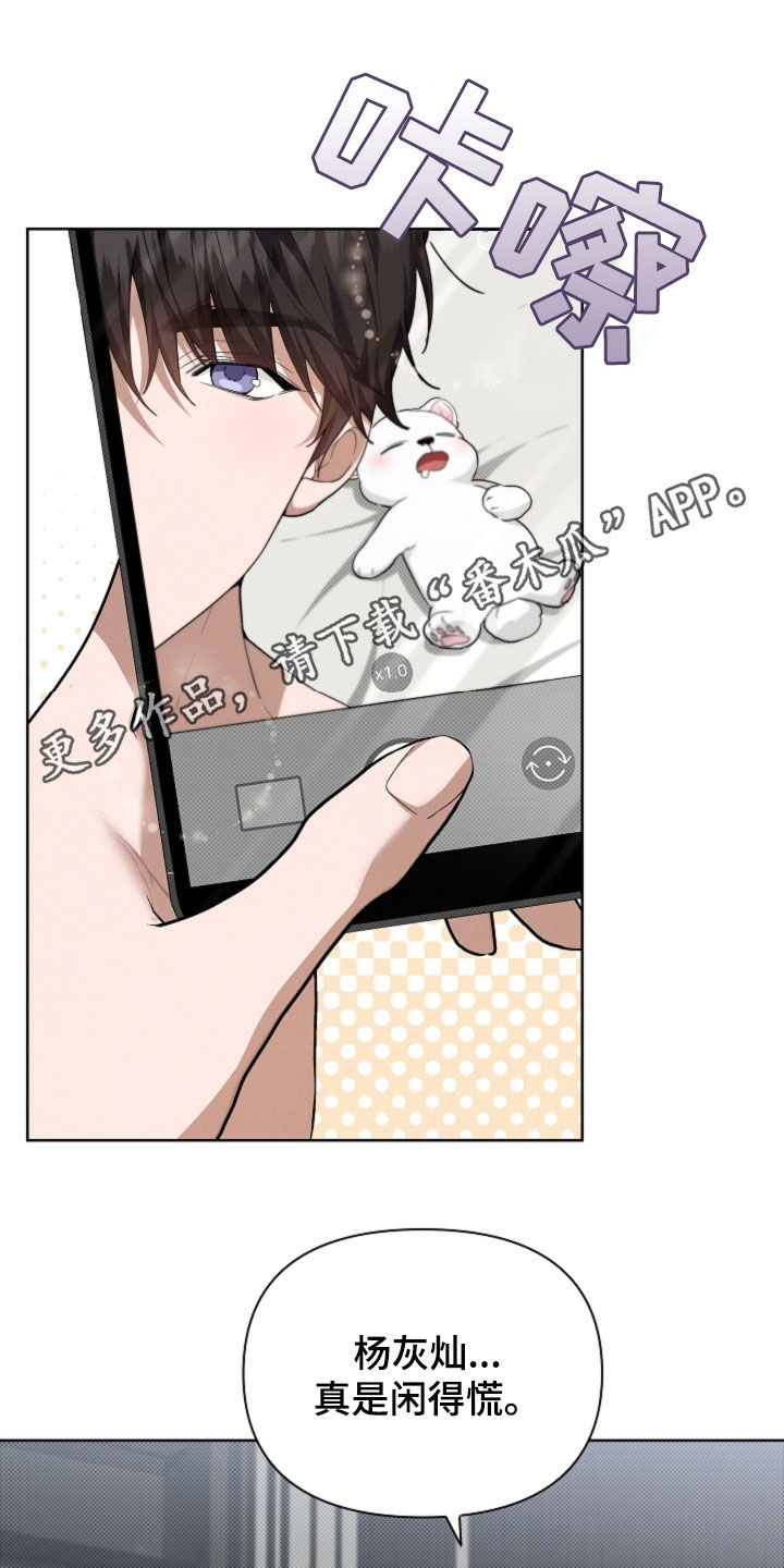 小白狗奇遇记漫画,第63章：命运的安排1图