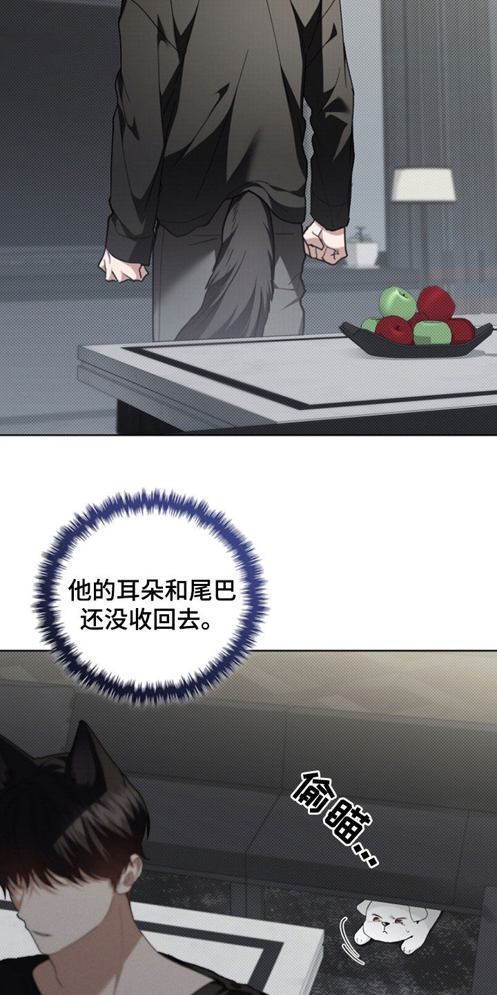 小白狗奇遇记漫画,第47章：他想攻击我1图