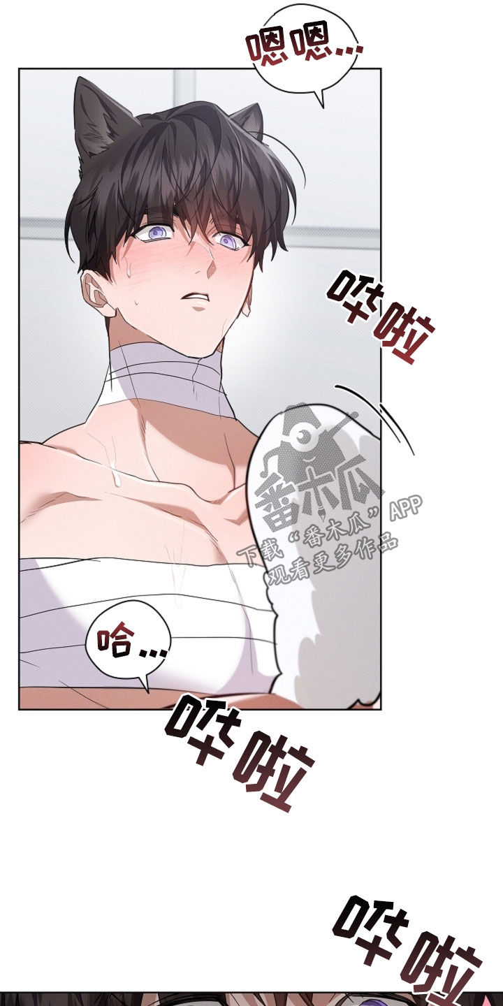 小白狗奇遇记漫画,第90章：【第二季】可以了2图