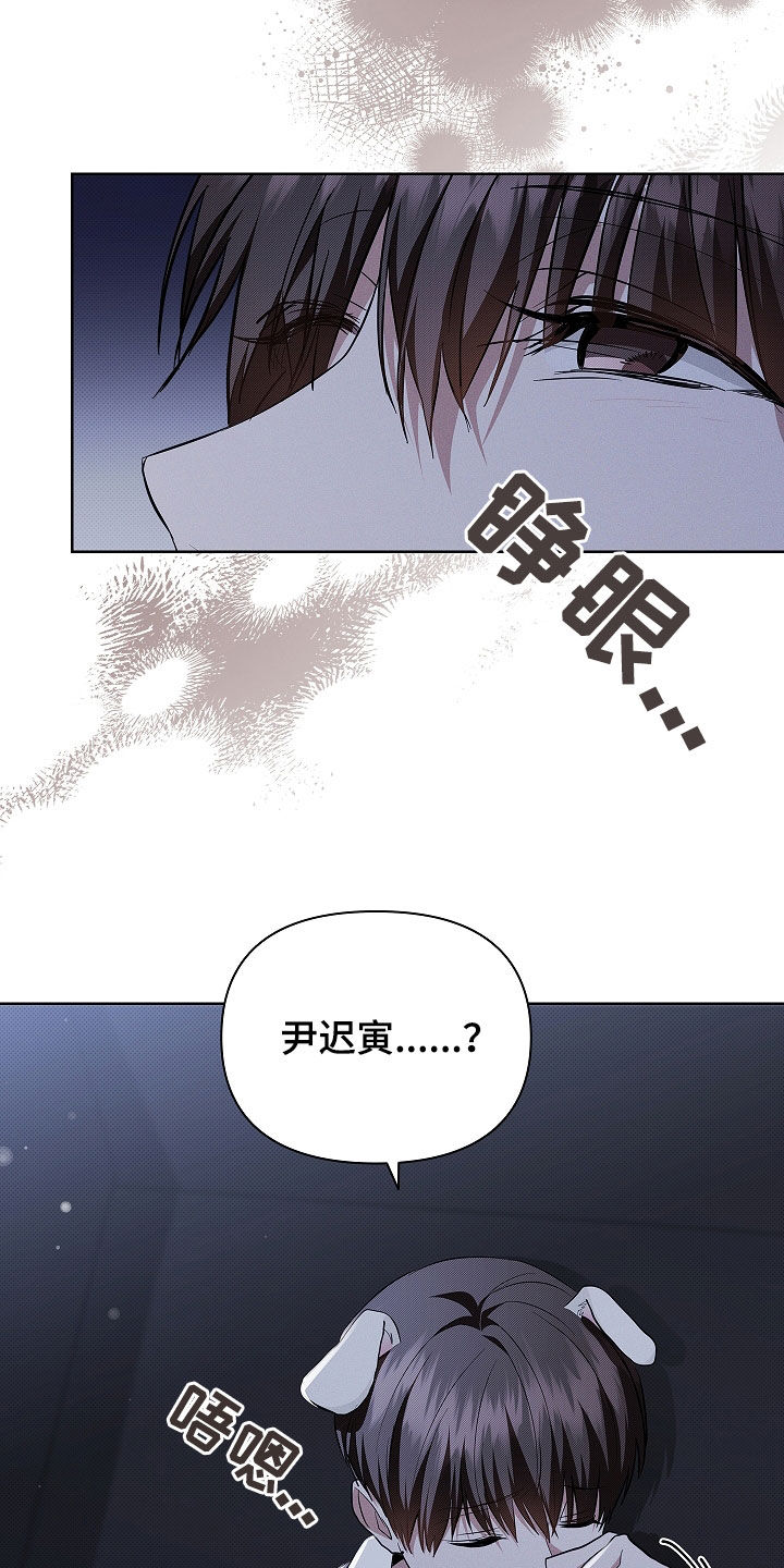 小白狗奇遇记漫画,第46章：这是什么3图