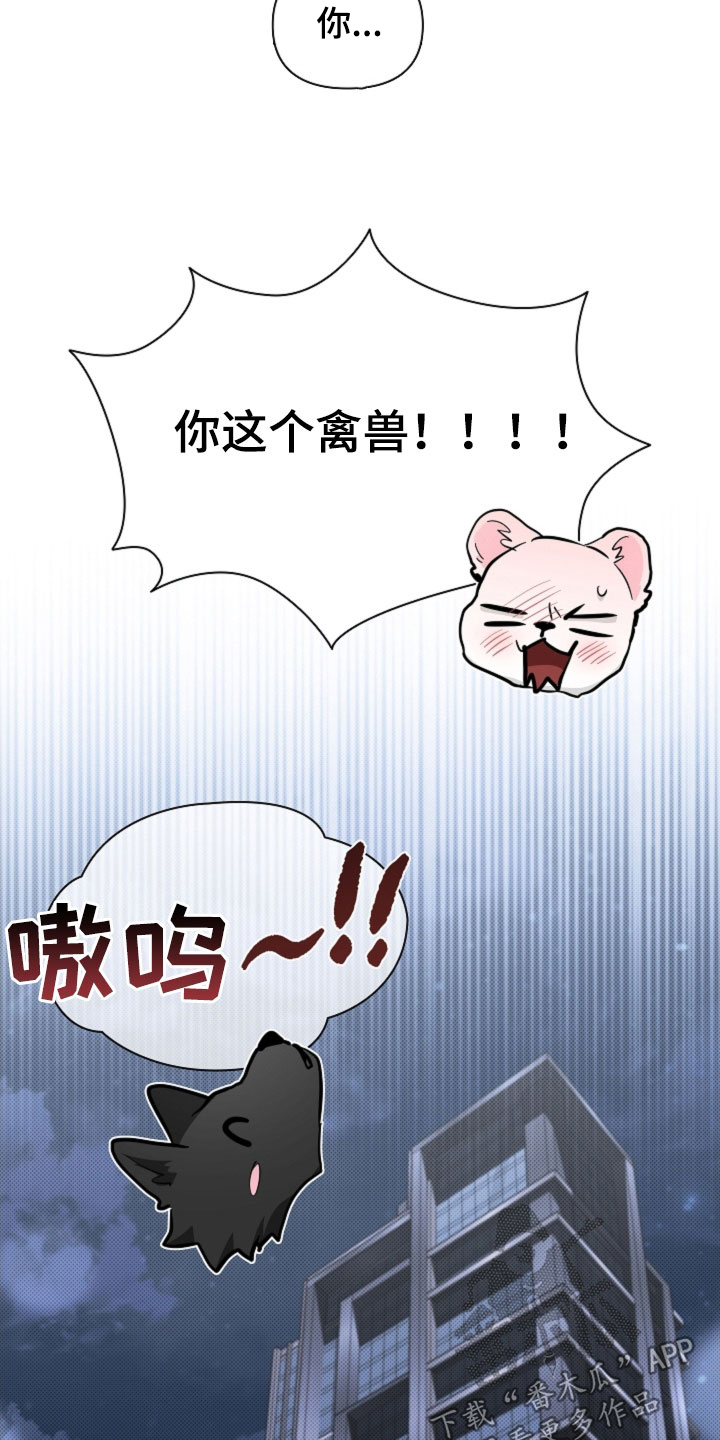 小白狗奇遇记漫画,第98章：【番外】真固执4图