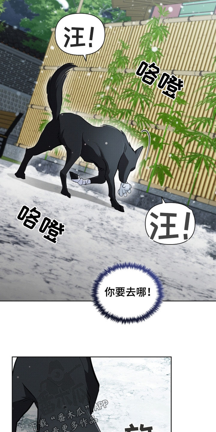小白狗奇遇记漫画,第76章：【第二季】一起解决掉2图