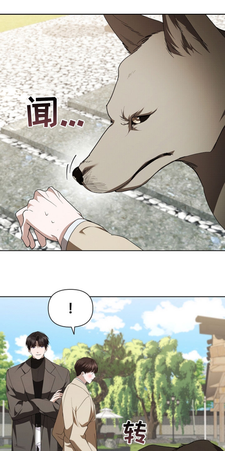 小白狗奇遇记漫画,第67章：还得再看看4图