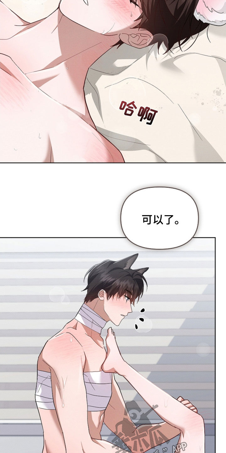 小白狗奇遇记漫画,第90章：【第二季】可以了1图
