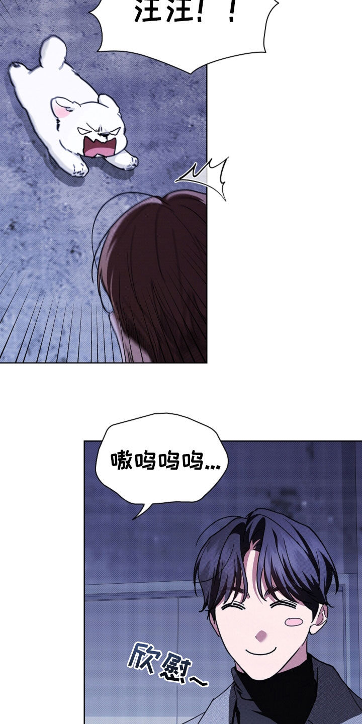小白狗奇遇记漫画,第44章：大礼4图