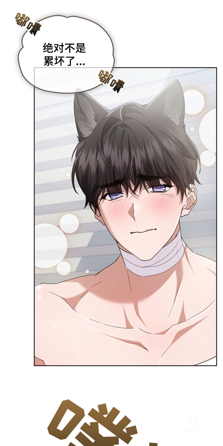 小白狗奇遇记漫画,第93章：【第二季】不能哭3图