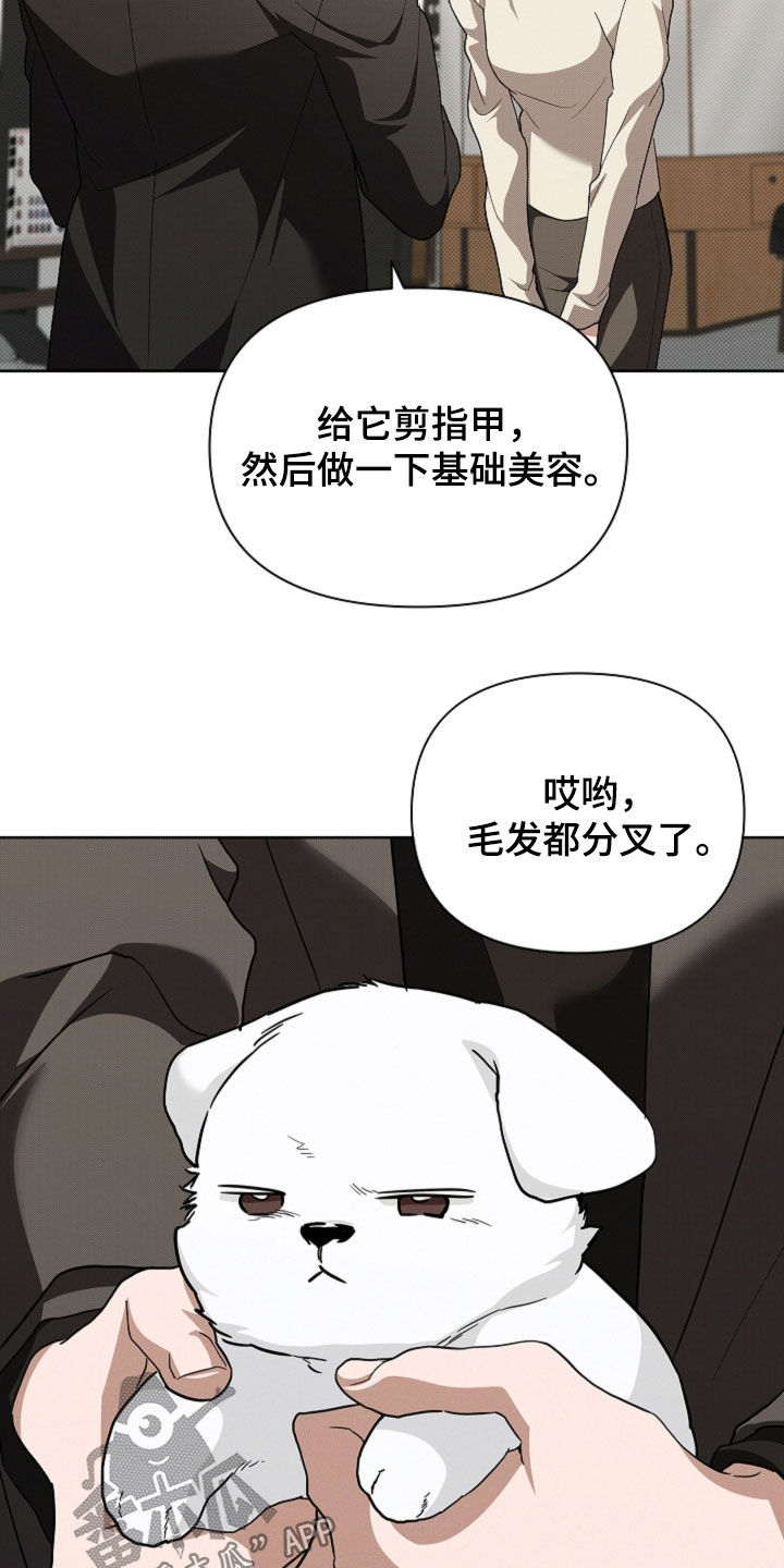 小白狗奇遇记漫画,第65章：做美容5图