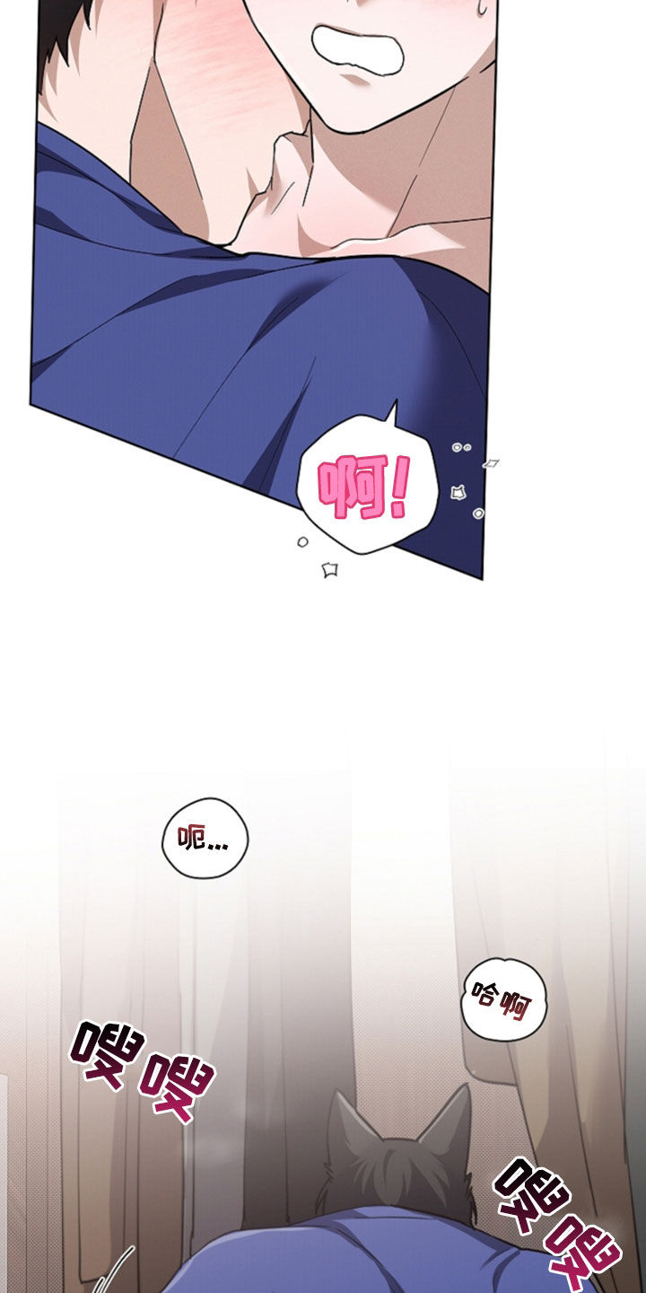 小白狗奇遇记漫画,第102章：【番外】忍了很久2图