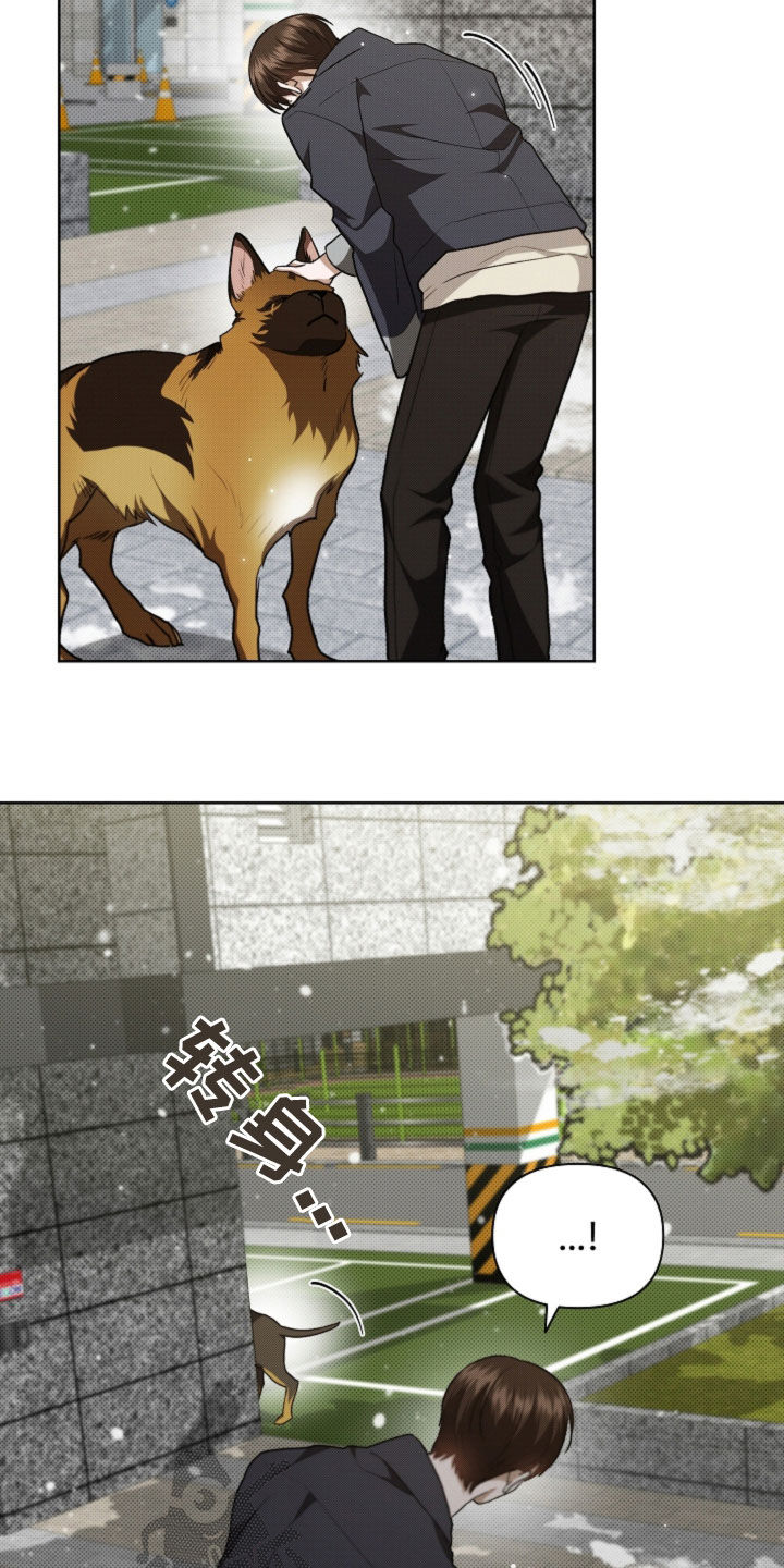 小白狗奇遇记漫画,第56章：叛徒3图