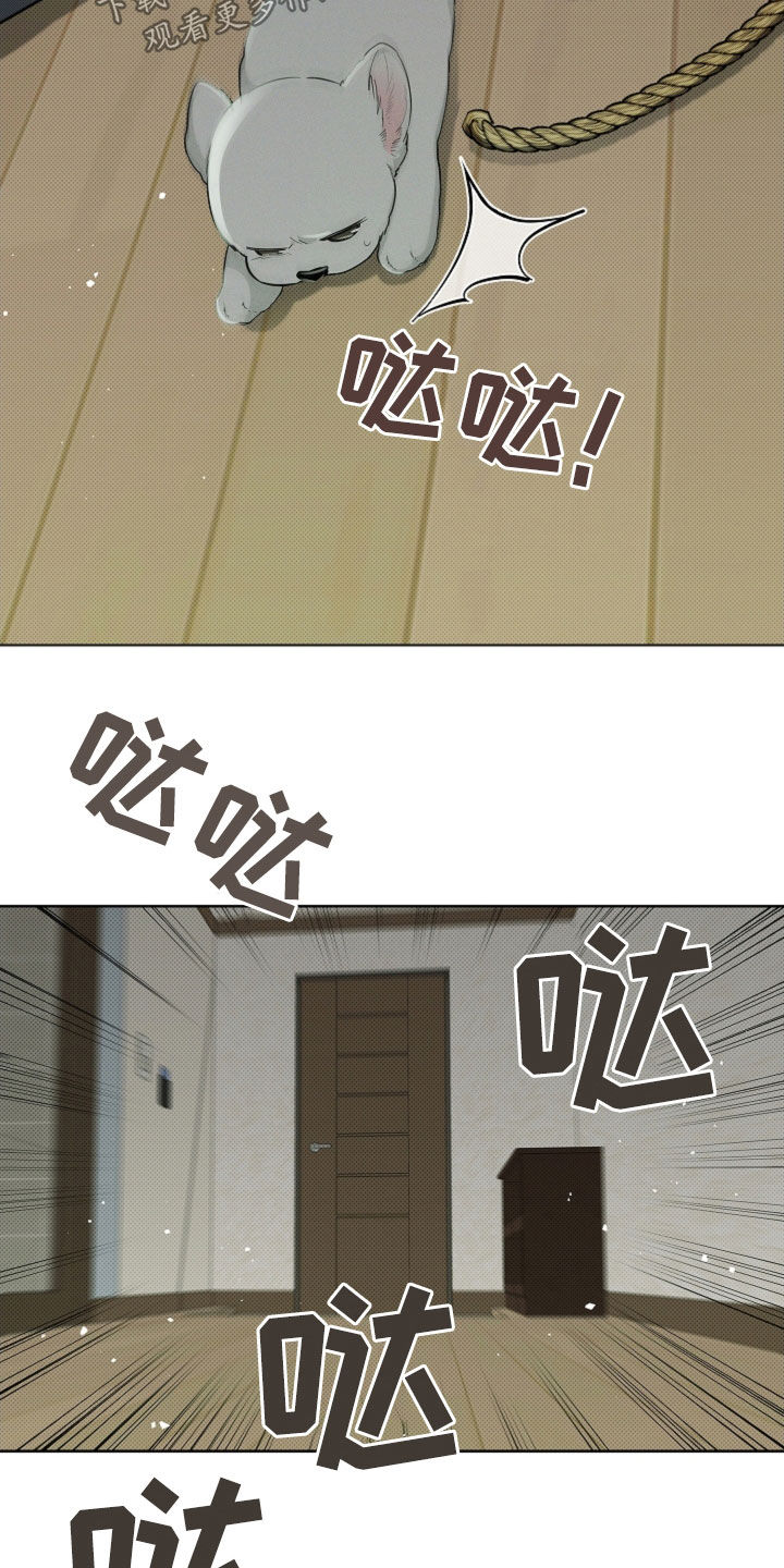 小白狗奇遇记漫画,第40章：逃跑5图