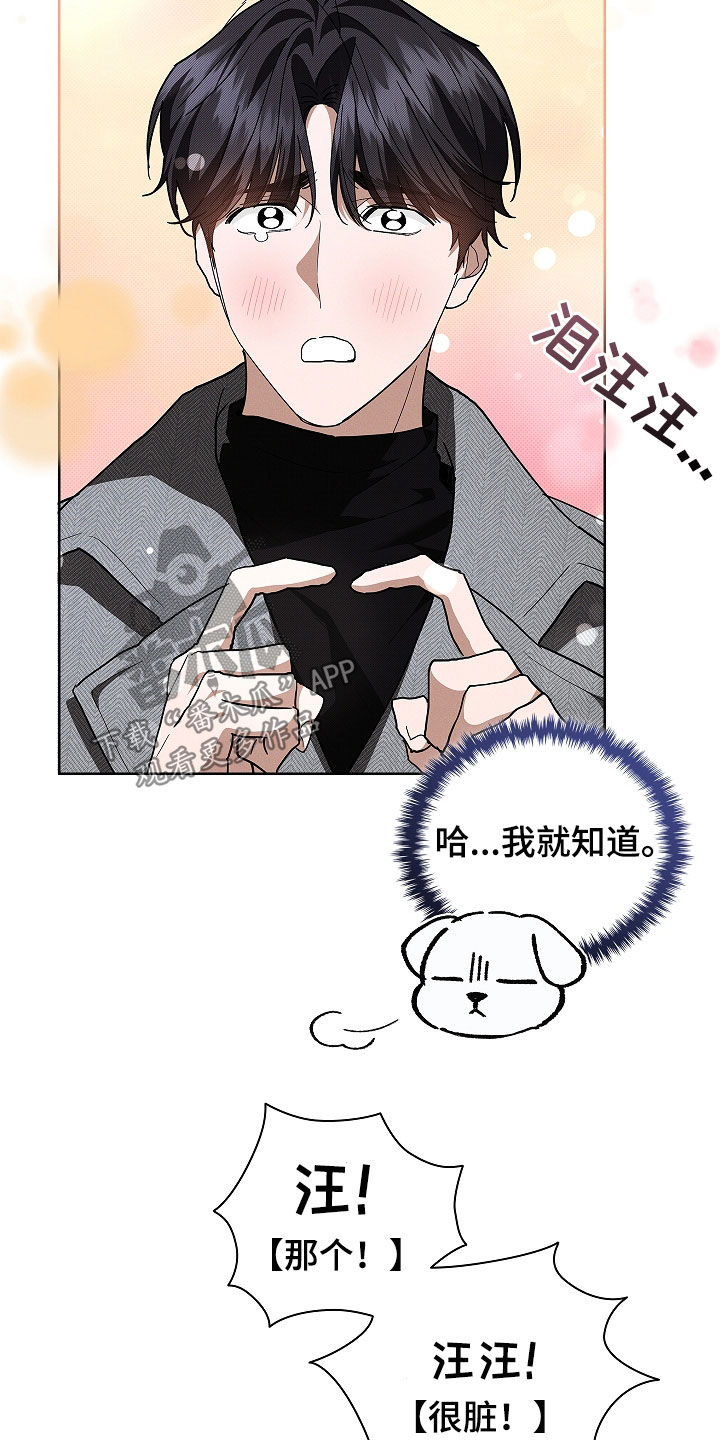 小白狗奇遇记漫画,第45章：报仇3图