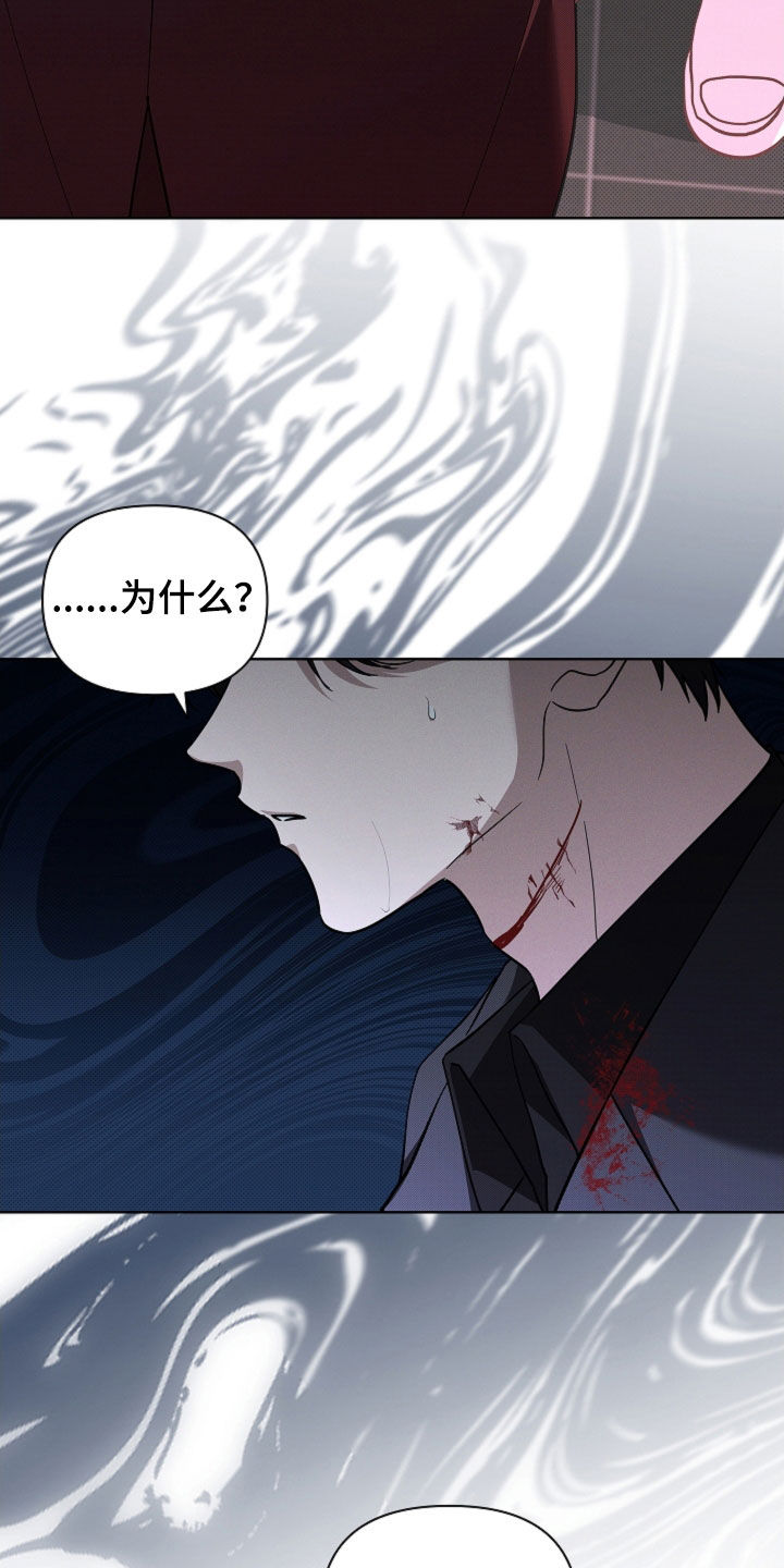 小白狗奇遇记漫画,第84章：【第二季】受伤1图