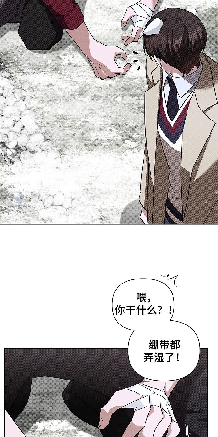 小白狗奇遇记漫画,第75章：【第二季】嬉戏3图