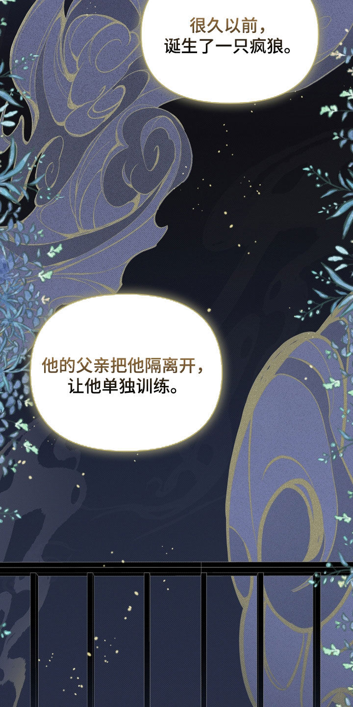小白狗奇遇记漫画,第80章：【第二季】疯狼1图