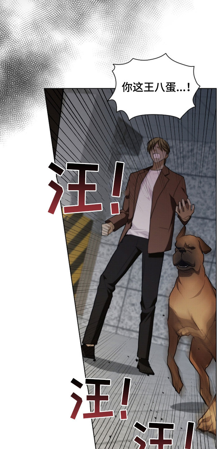 小白狗奇遇记漫画,第56章：叛徒2图