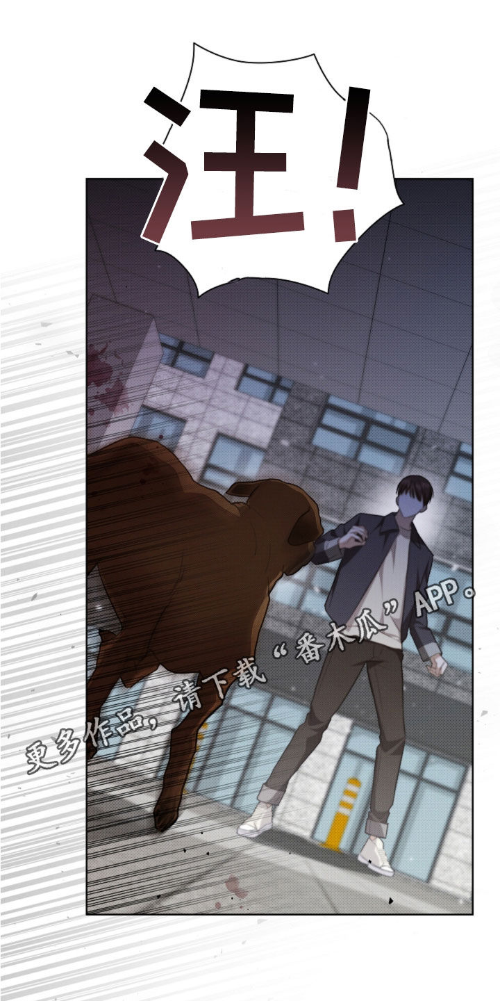 小白狗奇遇记漫画,第57章：你别激动1图