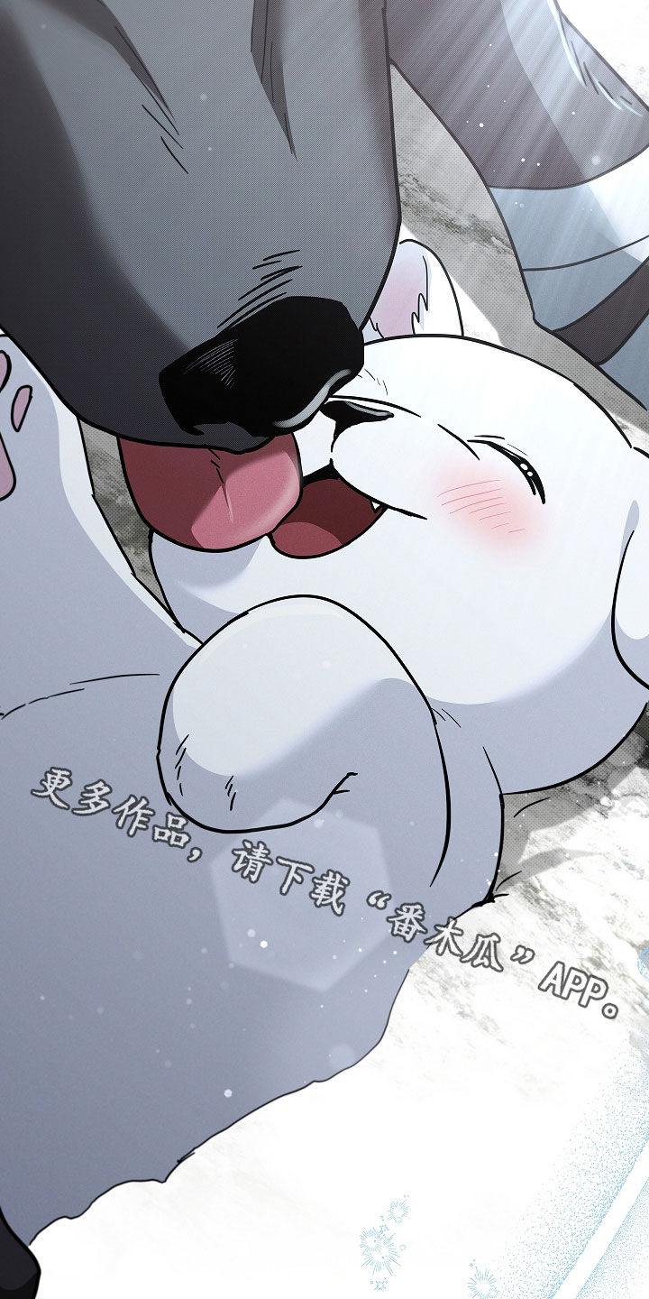 小白狗奇遇记漫画,第75章：【第二季】嬉戏4图