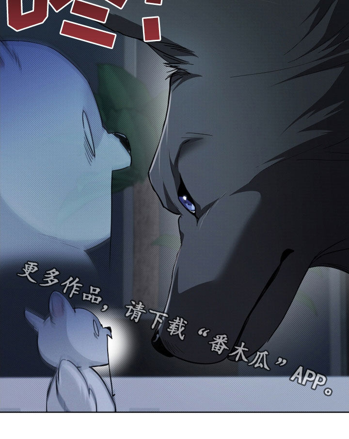 小白狗奇遇记漫画,第63章：命运的安排4图