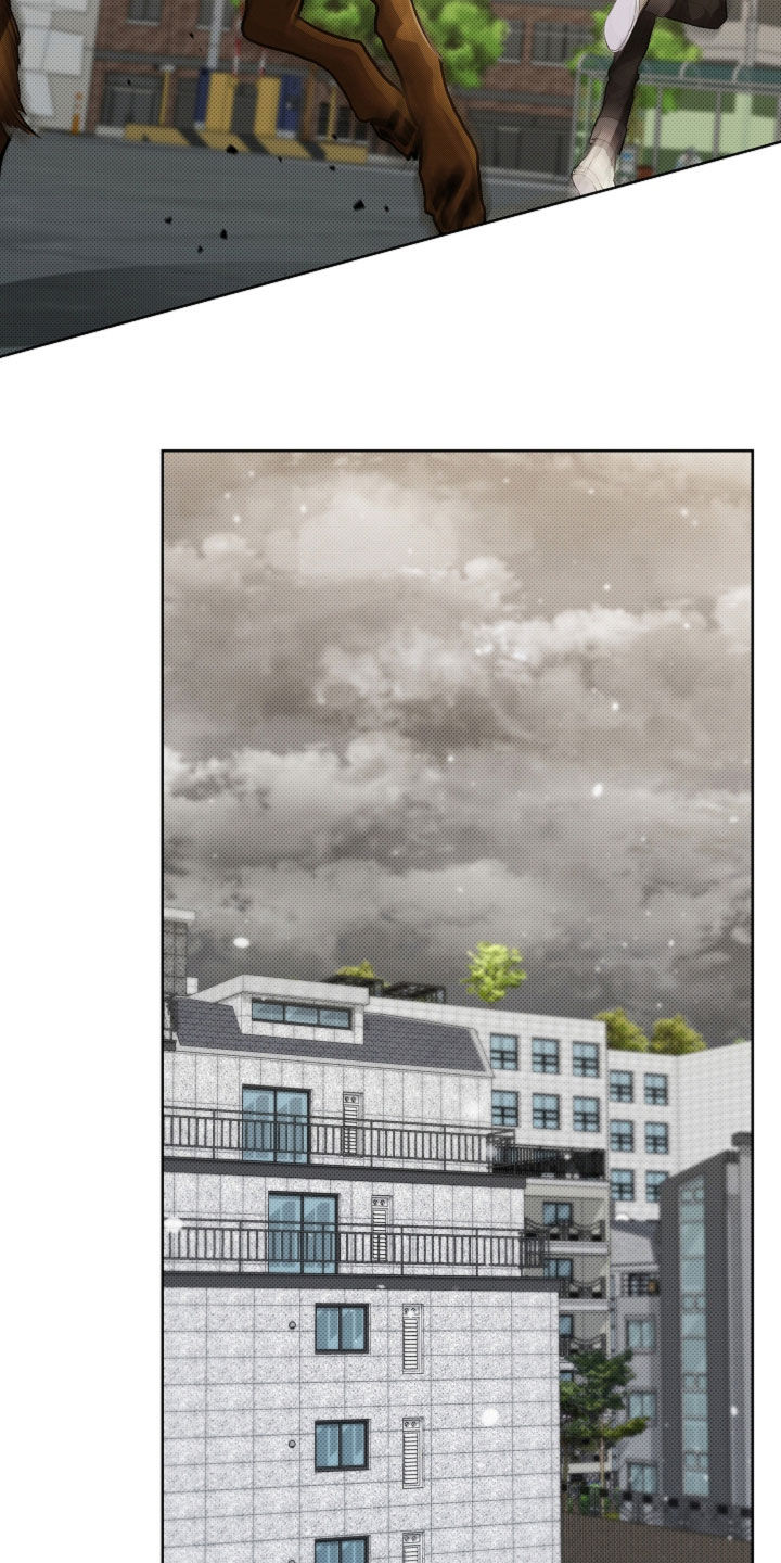 小白狗奇遇记漫画,第56章：叛徒5图